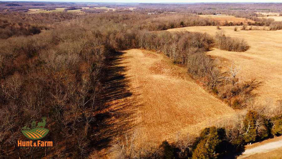 Still 2026-01-28 141101_2.32.1.jpg